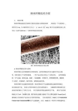 (完整版)纳米纤维技术介绍