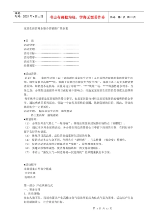 某家居生活馆开业整体策划