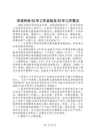 市老科协工作总结及工作要点