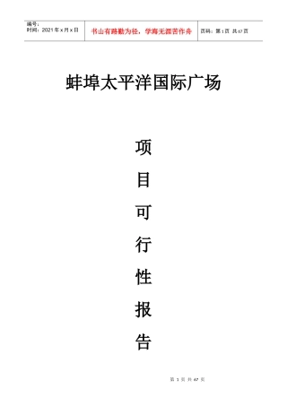 某广场项目可行性研究报告(doc 48页)