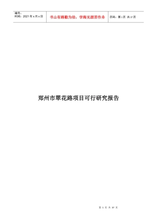某市项目可行研究报告