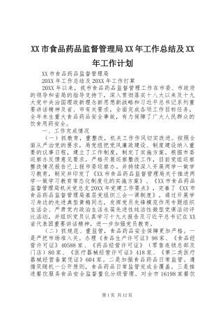 市食品药品监督管理局工作总结及工作计划