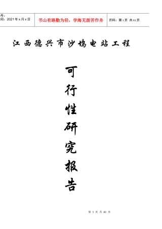 某市沙坞电站工程可行性研究报告