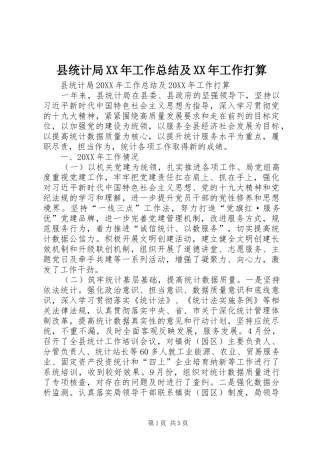 县统计局工作总结及工作打算