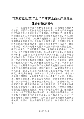 市政府党组上半年落实全面从严治党主体责任情况报告