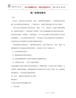 某广场策划报告doc31(1)