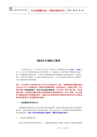 某年战略大策划简介