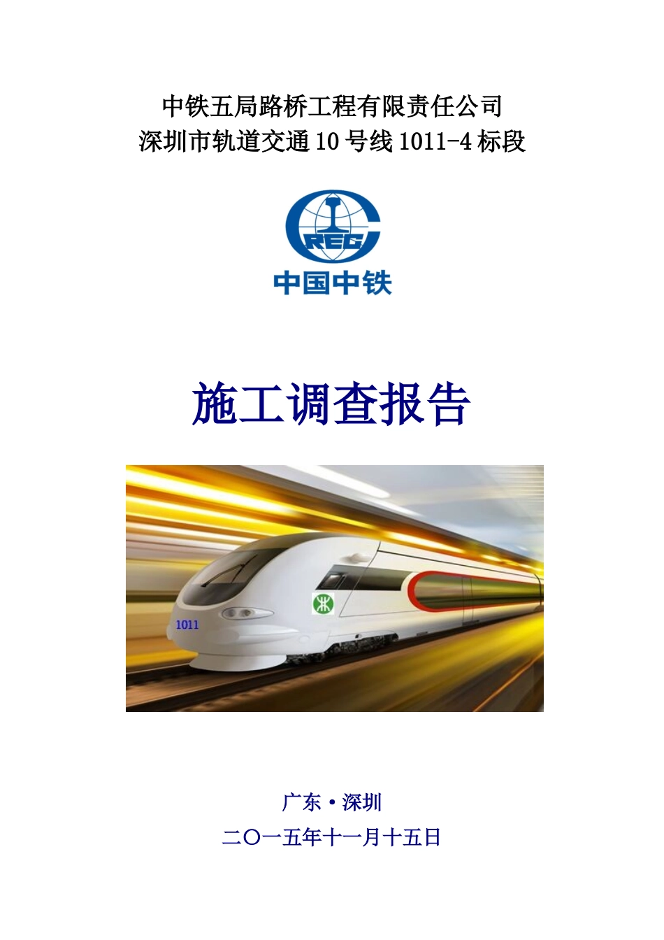 某市轨道交通施工调查报告_第1页