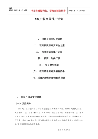 某大型广场商业推广计划(36P)