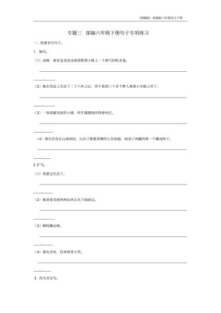 (统编版)部编版六年级语文下册句子专项