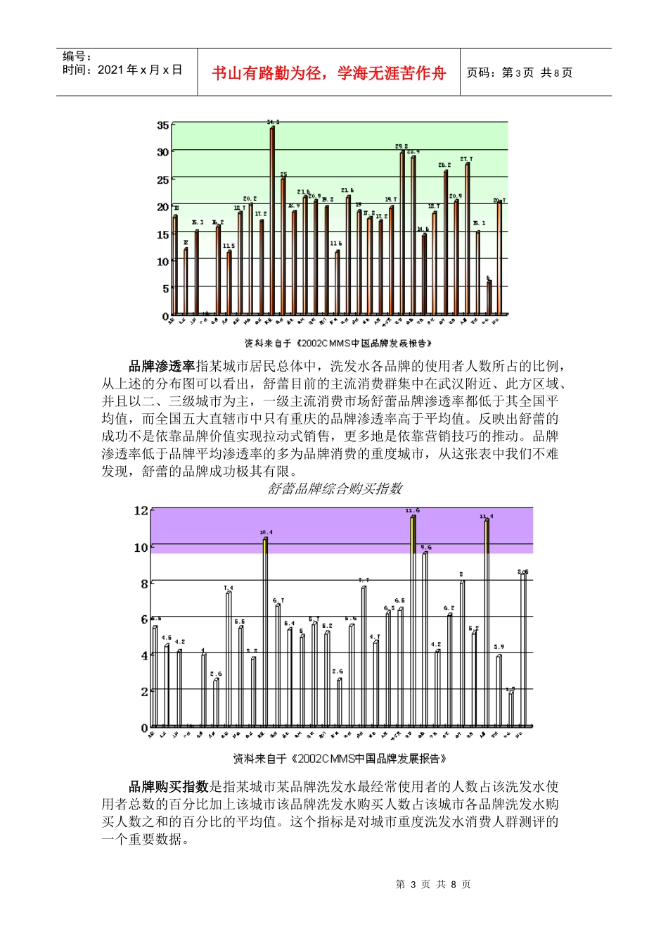 某年度舒蕾品牌发展报告及策略_第3页