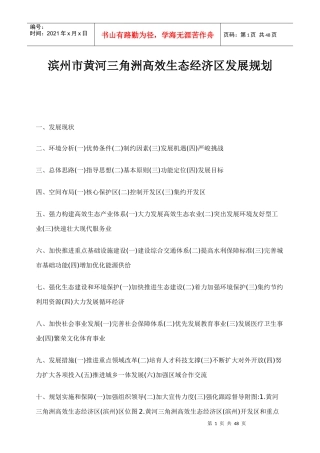 某市黄河三角洲高效生态经济区发展规划