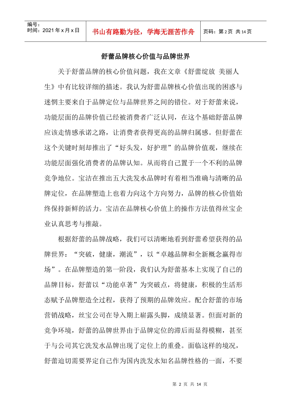 某年度舒蕾品牌发展报告及策略建议_第2页