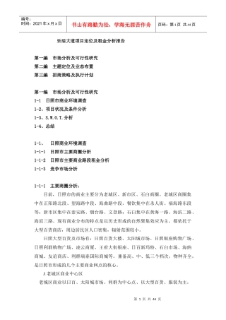 某大道项目定位及租金分析报告
