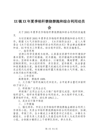 镇夏季秸秆禁烧禁抛和综合利用动员会