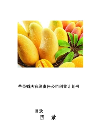 某婚庆有线责任公司创业计划书