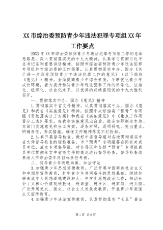 市综治委预防青少年违法犯罪专项组工作要点