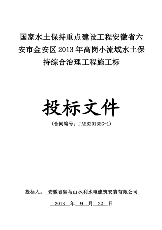 某市水土保持综合治理工程--商务技术