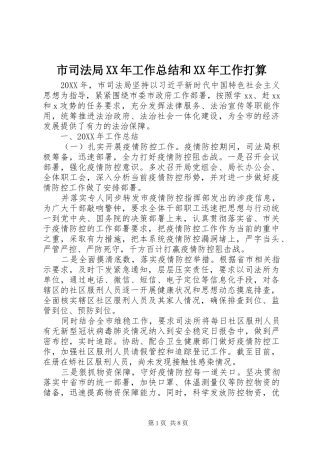 市司法局工作总结和工作打算