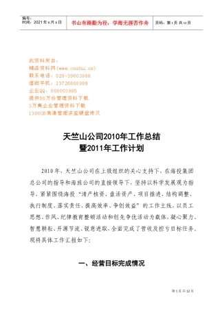 某某公司年度工作总结与工作计划