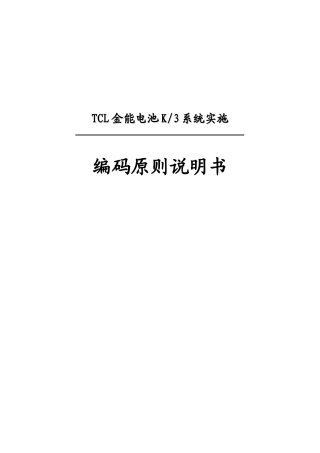某某电池编码原则说明手册