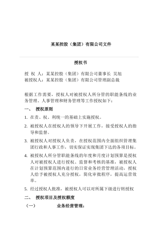 某控股有限公司副总裁授权书
