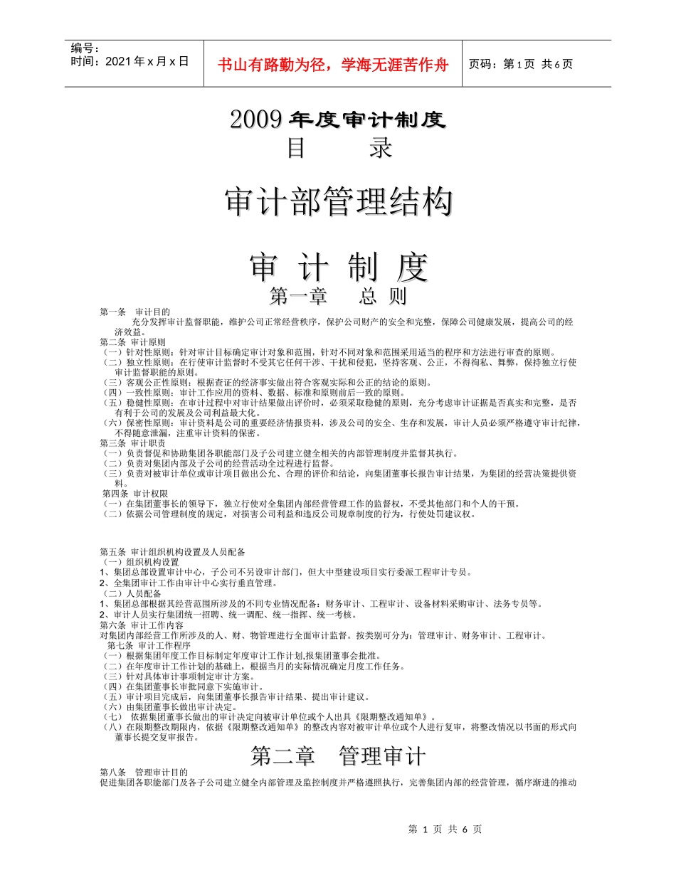 某某年某集团审计管理制度_第1页