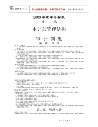 某某年某集团审计管理制度