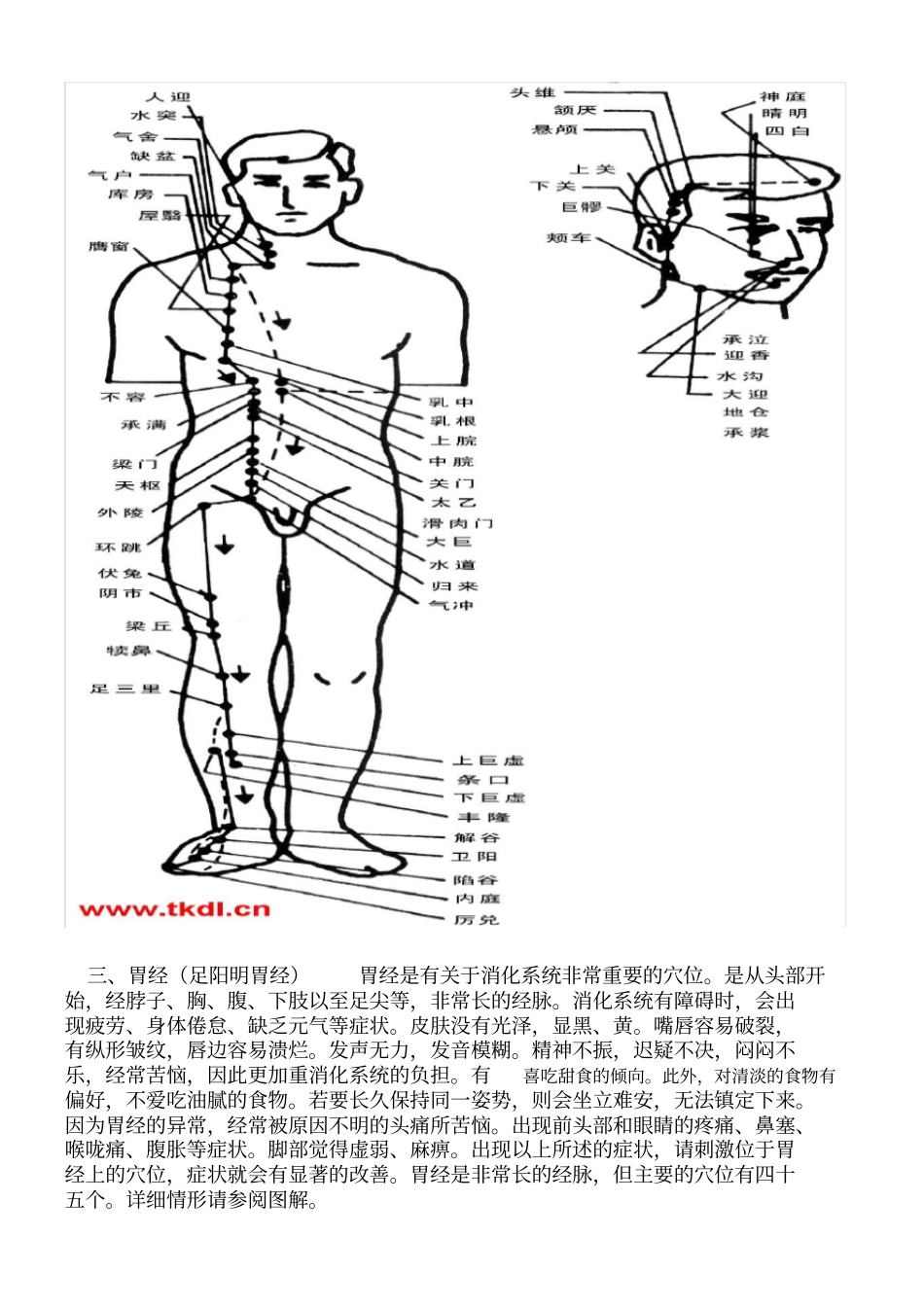 十四经络图解说明_第3页