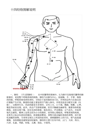 十四经络图解说明