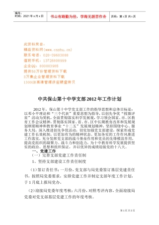 某某中学支部年度工作计划