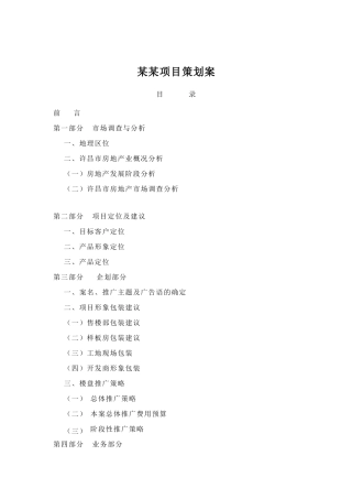 某某项目策划案（DOC45页）