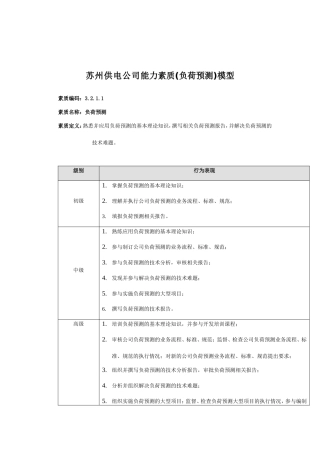 某某供电公司能力素质模型
