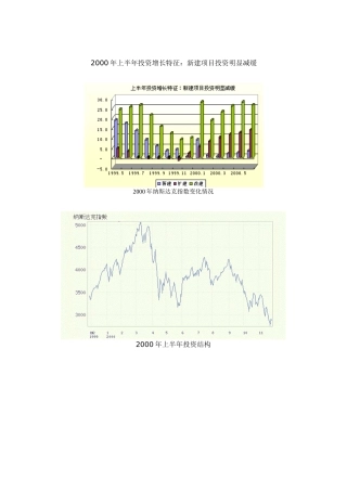 某某年上半年投资增长特征：新建项目投资明显减缓