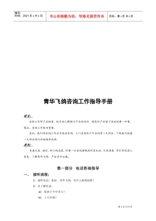 某某咨询公司工作指导手册