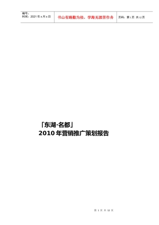 某楼盘年度营销推广策划报告