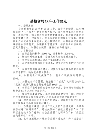 县粮食局工作要点