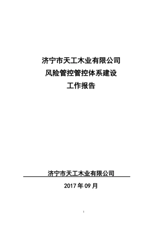 某木业有限公司风险管控管控体系建设工作报告