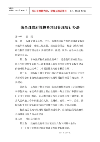 某某县政府性投资项目管理办法(doc 10)