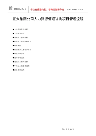某某集团公司人力资源管理咨询项目管理流程