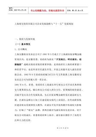 某投资公司发展战略与“十一五”发展规划