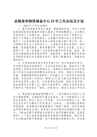 县粮食和物资储备中心工作总结及计划