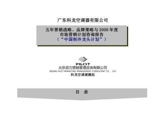 某某空调五年战略品牌策略(doc 99页)