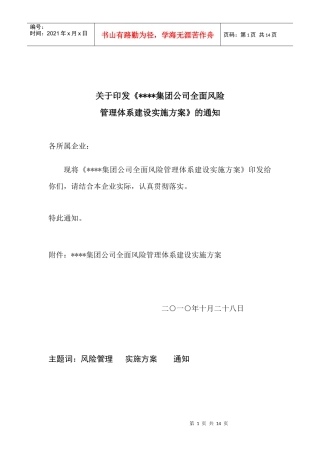 某某集团全面风险管理实施方案