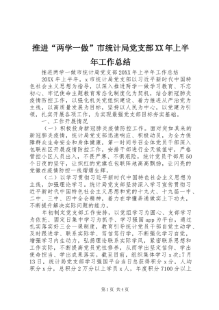 推进两学一做市统计局党支部上半年工作总结