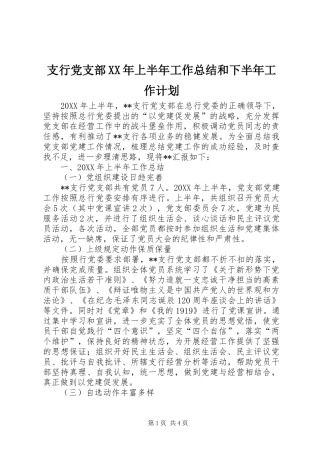 支行党支部上半年工作总结和下半年工作计划