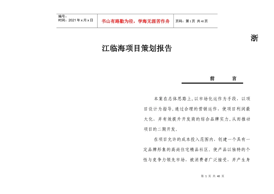 某某海项目策划报告_第1页