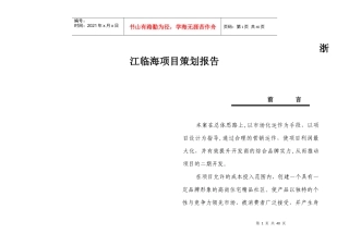 某某海项目策划报告