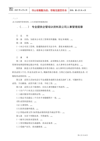 某某公司人事管理规章