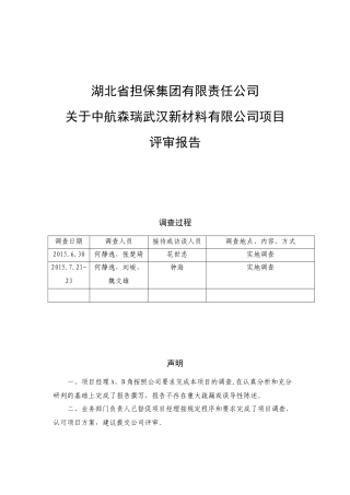 某新材料有限公司项目评审报告